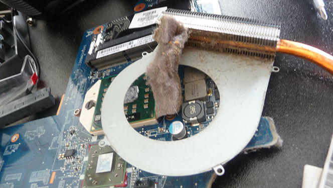 Computer shows a blue screen. Recovery of lost Data. Computer won't boot, partition issues. Security & Data Protection.Network Setup & Troubleshoot.